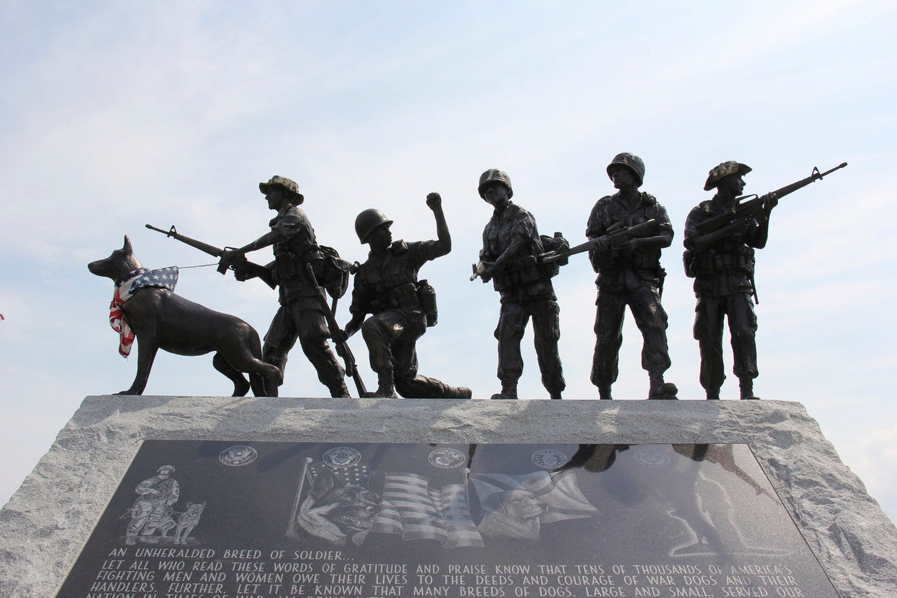 Memorial Day Tribute to Military Working Dogs